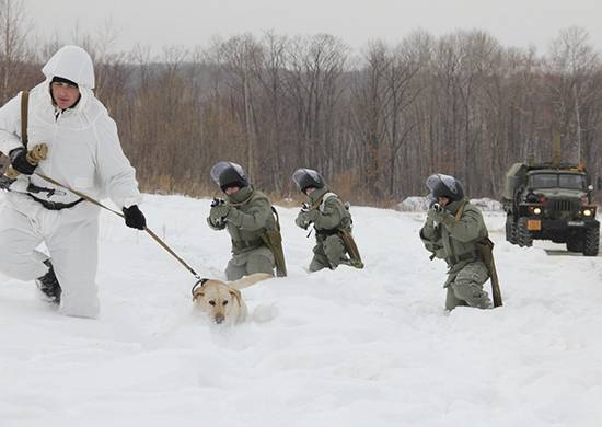 In the Amur region prepared the first group of freelance engineers