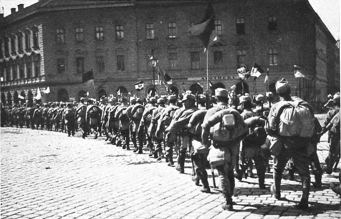 Львовский оперативный полк вв