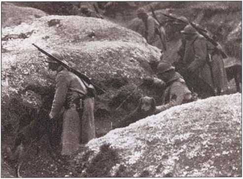 Curieri cu patru picioare ai Primului Război Mondial