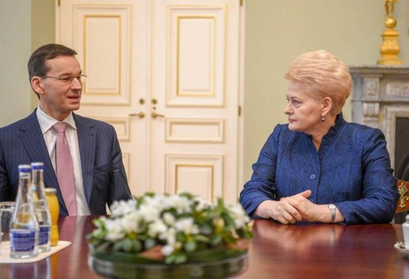 Lithuania counts on the support of Poland in order to avoid military isolation