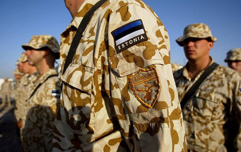 L'Estonia invia cinquanta soldati per aiutare le truppe francesi in Mali