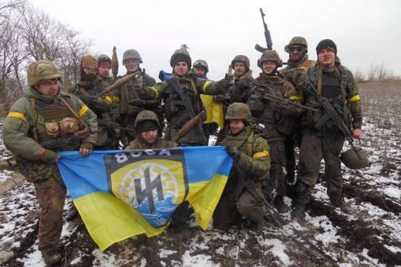 Media: US Congress banned the supply of military assistance to neo-Nazis from Azov