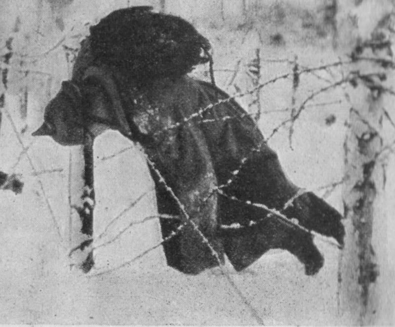 В дебрях колючей проволоки. Ч.3