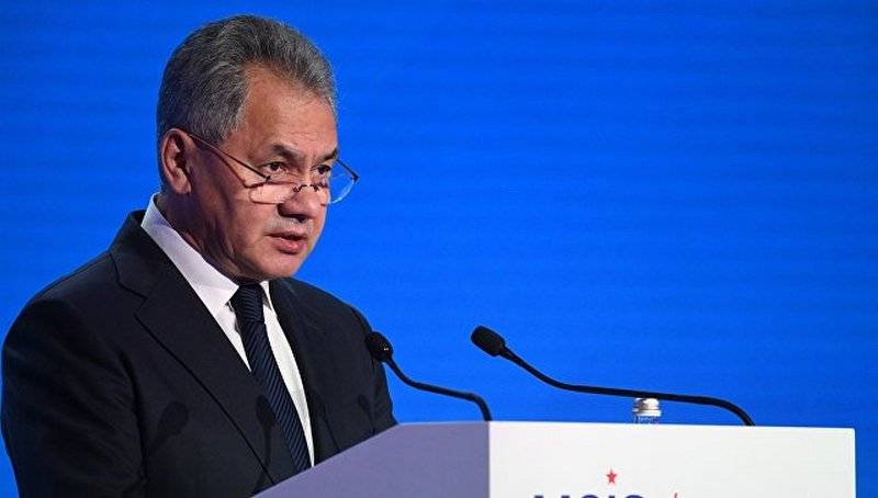 Shoigu: We will not disregard the force pressure on Russia