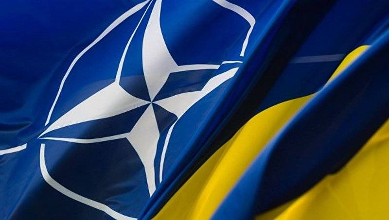 Rada approved the aspiration of Ukraine to NATO. Did NATO approve?