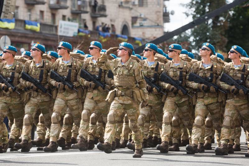 Note dello scarafaggio del Colorado. Truppe di cavalli sottomarini. Più forte del tuo cammello corazzato!