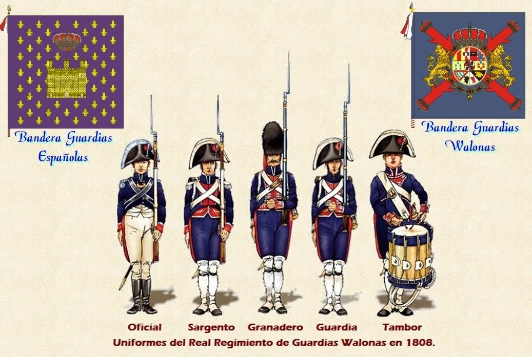 Organización de la Guardia Real de España en 1808.