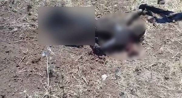 ستیزه جویان تصمیم گرفتند که جسد یک خلبان روسی در نزدیکی هواپیمای سرنگون شده توسط اسرائیل پیدا شود