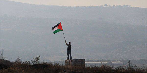 가자 지구에서 수백명의 팔레스타인 사람들이 고통 받았다.