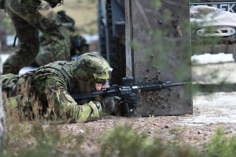 Aufrüstung der estnischen Armee mit amerikanischen Gewehren