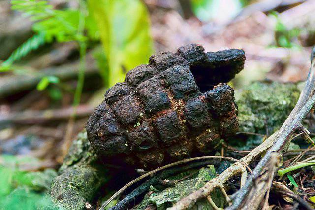 Граната оборонительная или наступательная. Какая разница?