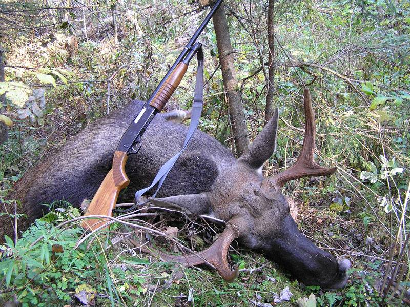 «Бекас». Порождение КС-23 и «родезийского» патрона