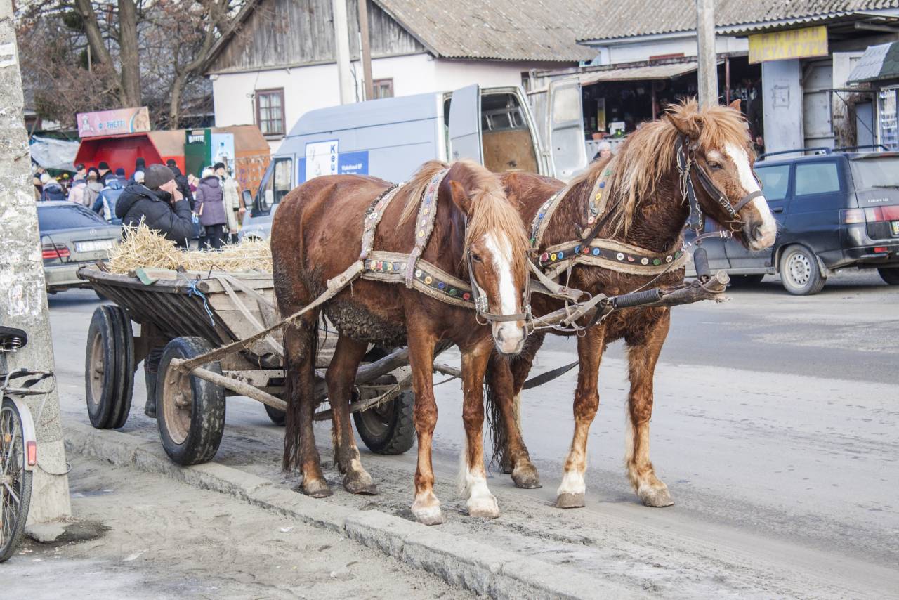 Там конь. Ой,чей-то кони(Белгородская).