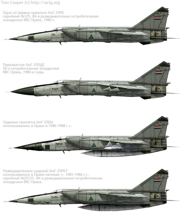 MiG-25. Das Schicksal des schnellsten sowjetischen Kämpfers