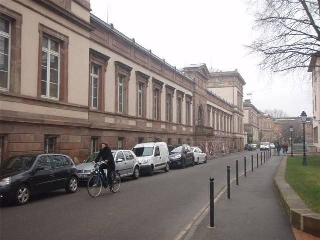 Страсбургский анатомический институт СС. Дно немецкой науки