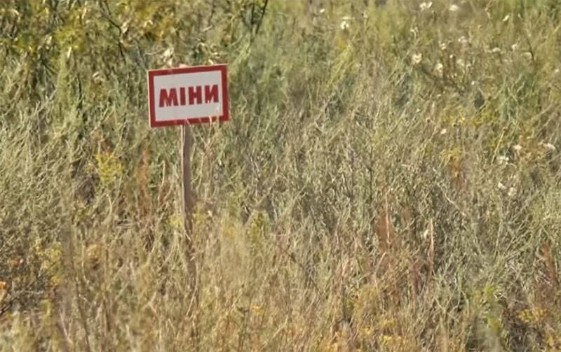 Минская группа достигла важных договорённостей по Донбассу