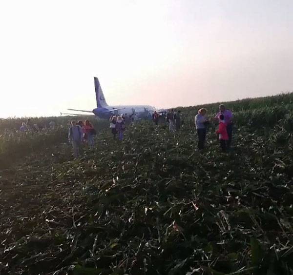 A-321 saß wegen einer Kollision mit einem Vogel dringend auf einem Maisfeld in der Nähe von Moskau