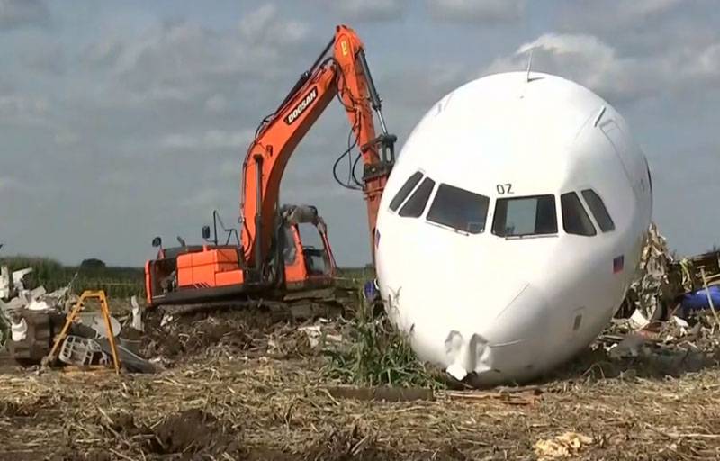 トウモロコシ畑への航空機着陸に関する中間報告書を作成