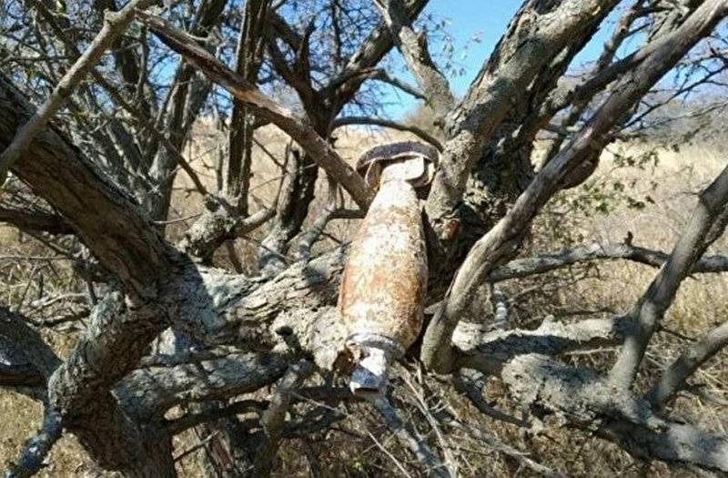Kırım'da, bir ağaca asılı, bir İkinci Dünya Savaşı bomba keşfetti
