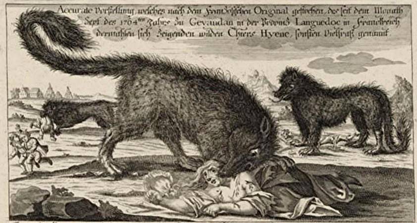 Волки Не Едят Мясо – Эротические Сцены
