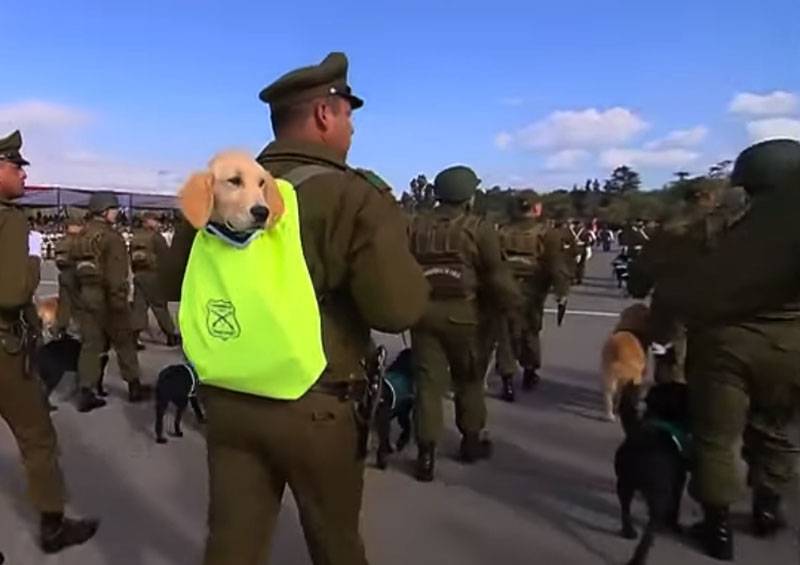 Chile military parade with puppies in backpacks