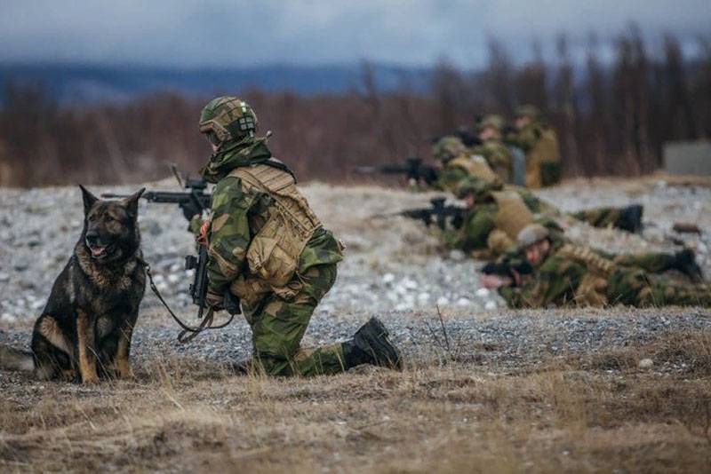 Норвежский генерал: Армия в нынешнем состоянии не может обеспечить надёжную защиту страны