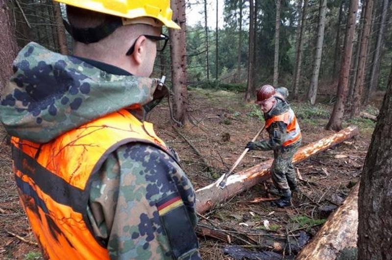 Bundeswehr-avdelningar utplacerade för att bekämpa barkborre