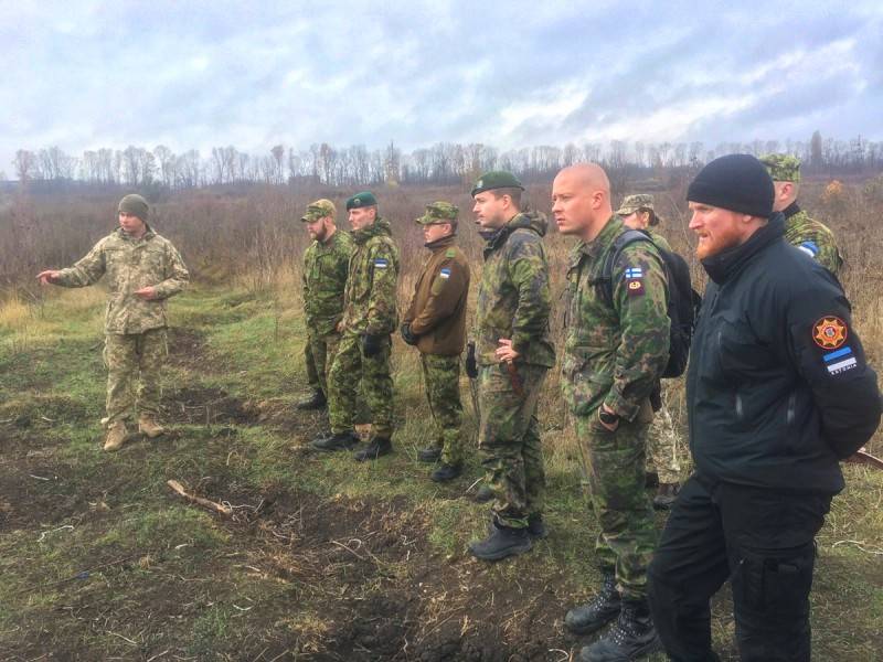 エストニアとフィンランドの軍はウクライナの同僚から学ぶことを決定した