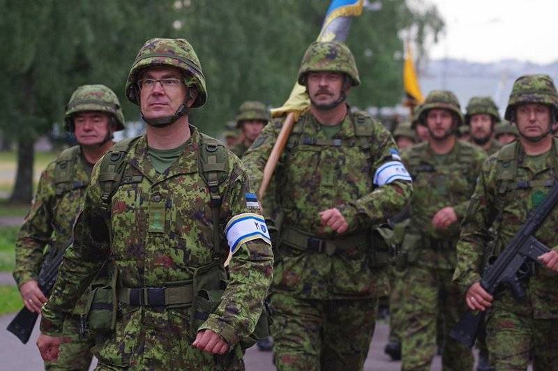 L'Estonia insegnerà all'Ucraina come difendersi adeguatamente