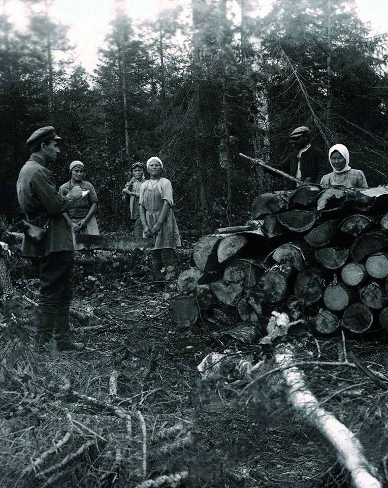 В попытках разгадать суть событий 1937 года в СССР