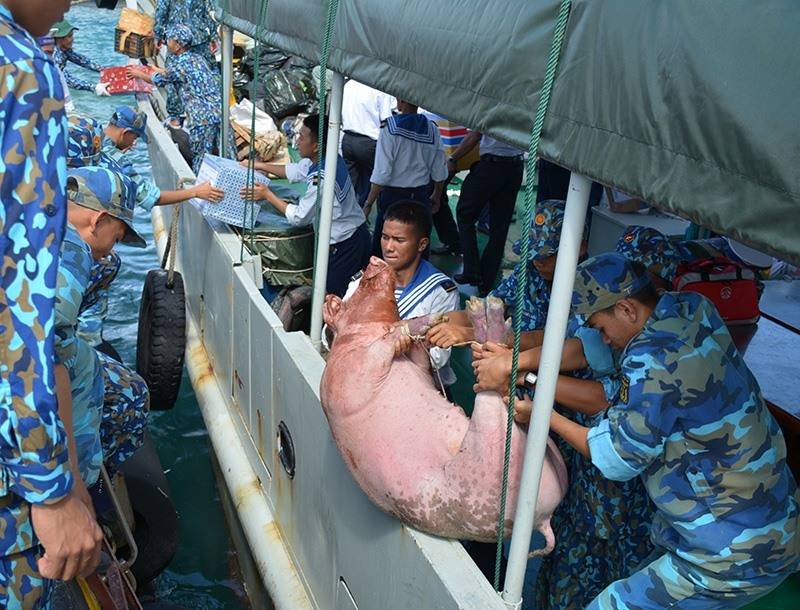 越南的“水世界”：如何保护有争议的水域