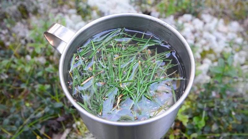 Needles in the food! How to feed the population of Russia in the war