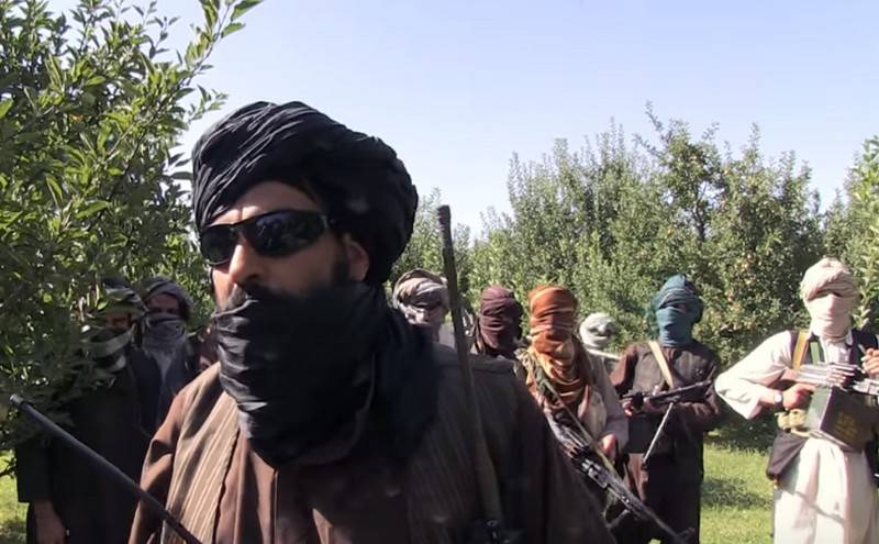 U.S. Intelligence: the Taliban do not intend to comply with the peace agreement