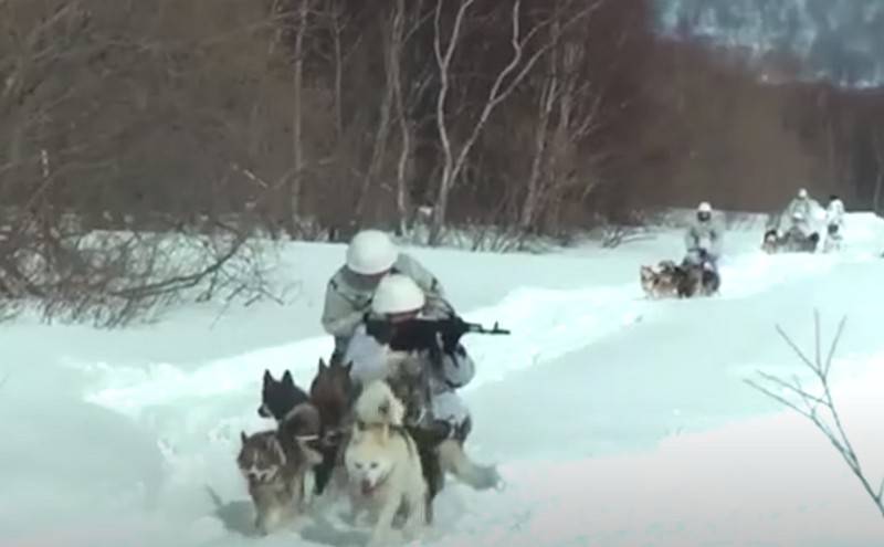 Pasifik Filosu Denizcileri köpek kızağı becerilerini kazandılar