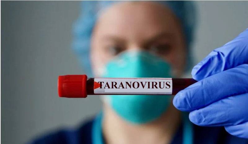 Cuidado com a indústria da morte de “Taranovírus”