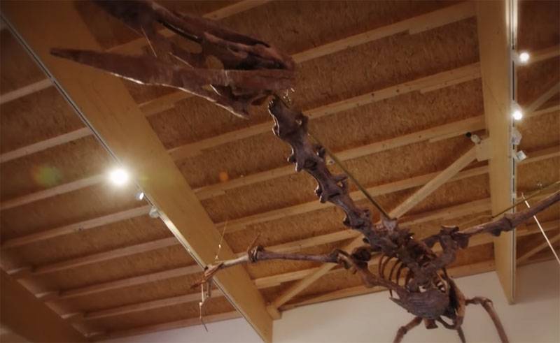 Let's Talk Science: Kuinka pterosaurusten tutkiminen voi auttaa lentokonesuunnittelijoita