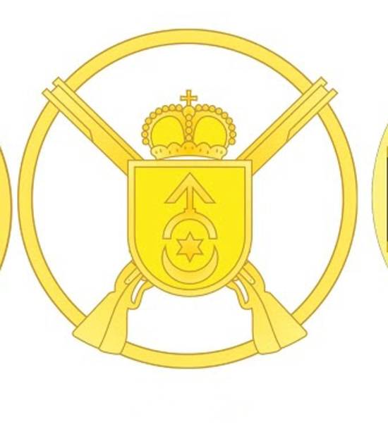 Dekommunisierung in der ukrainischen Armee: Embleme mit Halbmond und Stilisierung des Davidsterns erscheinen
