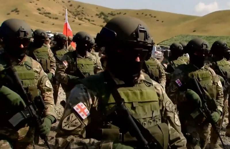 L'esercito georgiano inizia il riarmo con armi standard della NATO