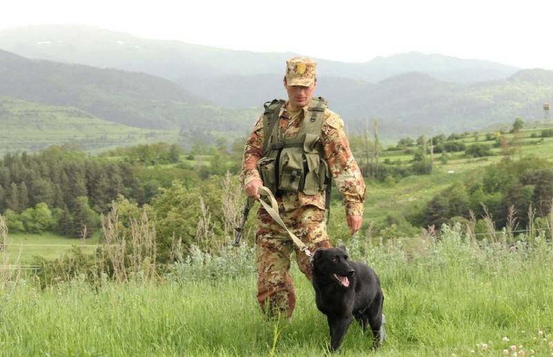 „Falsche Grenze“: Georgien sagte, Russland habe falsche topografische Karten „gepflanzt“.