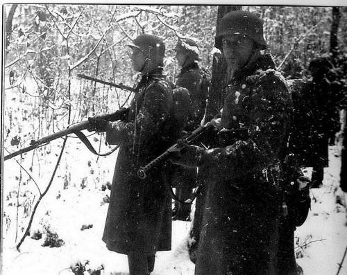 "Winter Forest": rout and beating of partisans