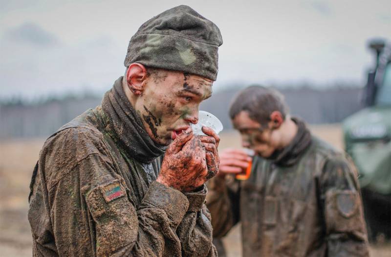 In Litauen wurden Fotos vom Wettbewerb zum Popularisierungsdienst der litauischen Armee gezeigt