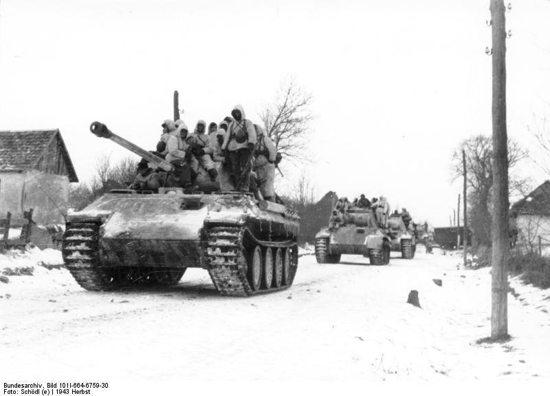 탱크 Pz.Kpfw.V Panther. 소량 및 큰 문제