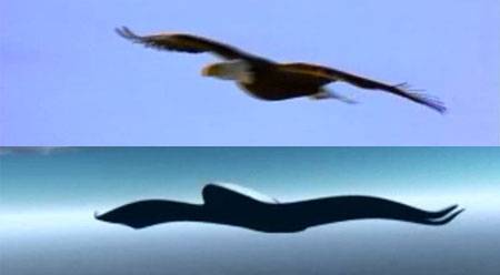 Космические технологии. Морфинг формы и форминг полета