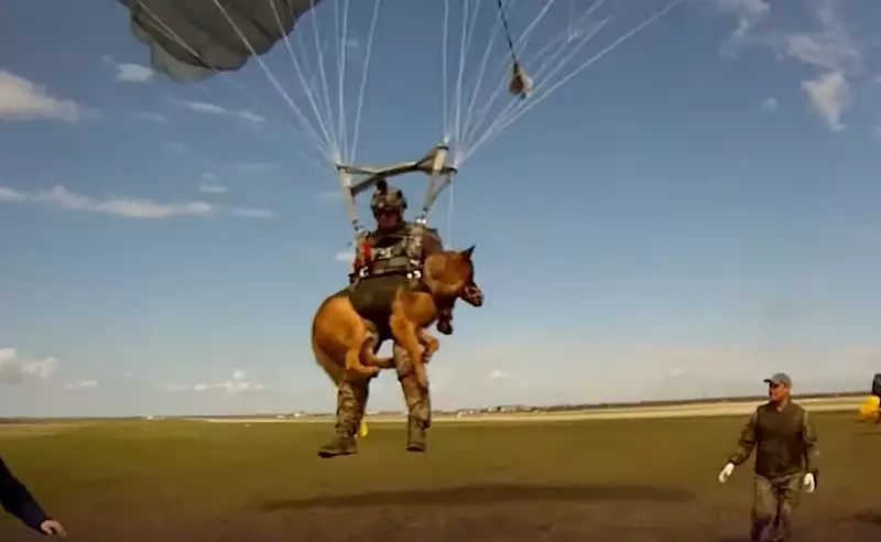 Das neue Fallschirmsystem ermöglicht die Landung mit einem Diensthund