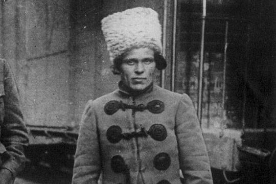 Мужицкое царство Нестора Махно