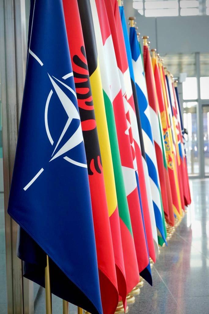 Researcher at the American Cato Institute: A number of countries have become a burden for NATO