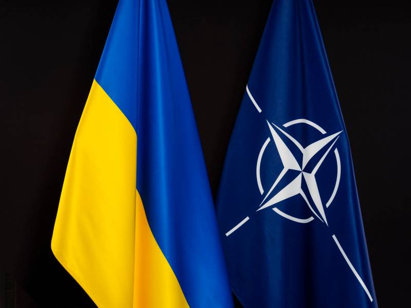 Чешский эксперт по безопасности предложил НАТО забыть об Украине