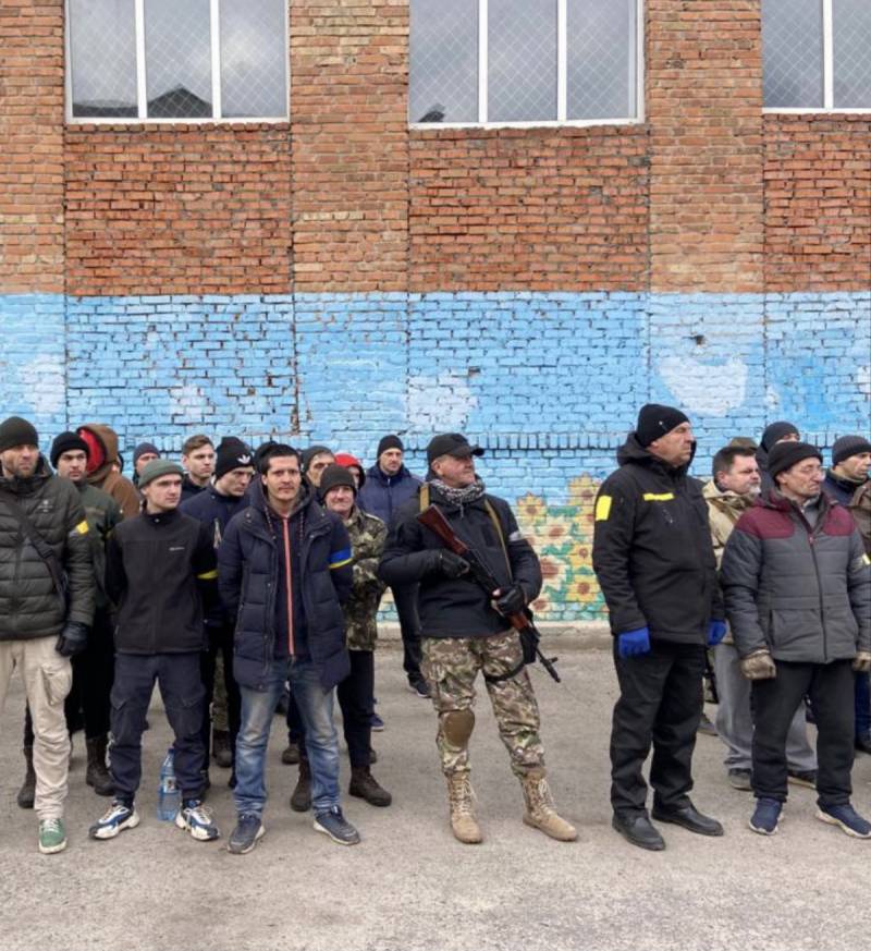 Взгляд из Киева: о представителях территориальной обороны украинской столицы