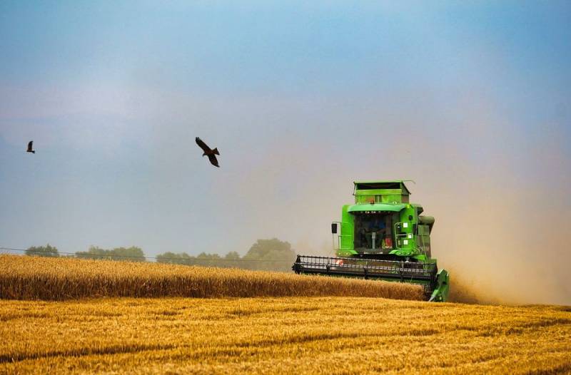 Пшеница на вес золота: события на Украине отражаются на стоимости зерна в мире