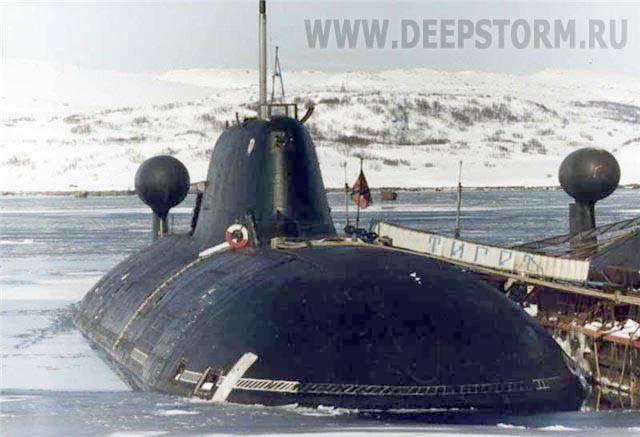 De nouvelles armes et de nouvelles fonctionnalités. Modernisation du sous-marin nucléaire "Tigr" et de toute la "division animale"
